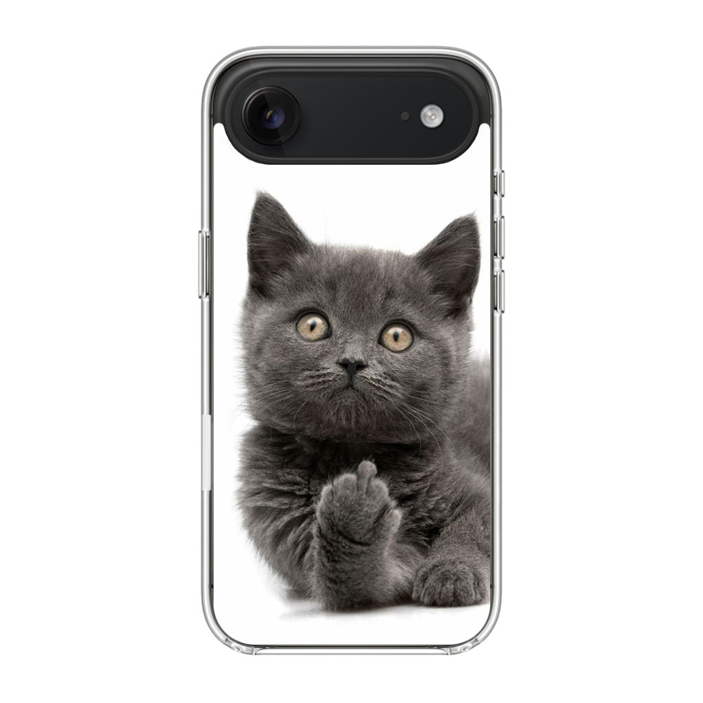 Finger British Shorthair Cat iPhone Air Case
