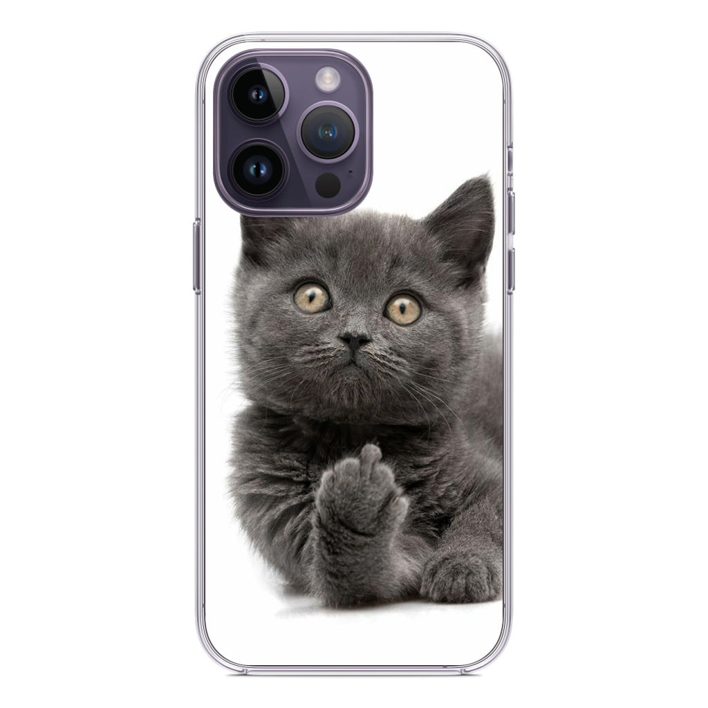Finger British Shorthair Cat iPhone 14 Pro / 14 Pro Max Case