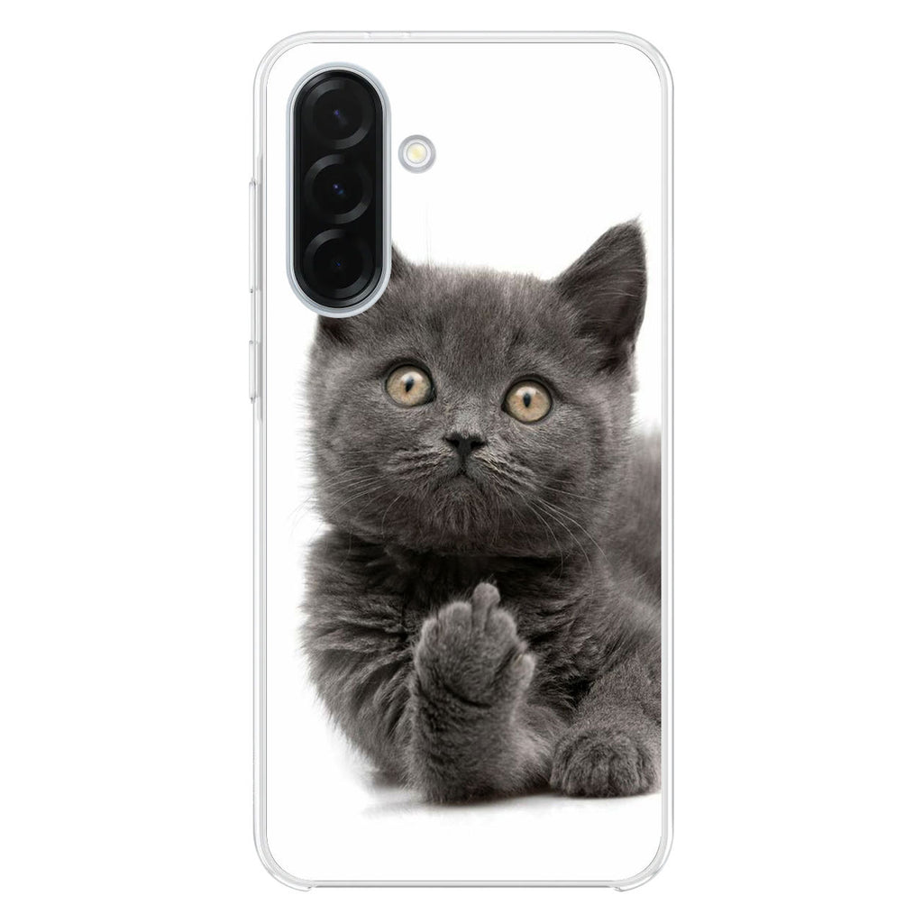Finger British Shorthair Cat Samsung Galaxy A26 5G / A36 5G / A56 5G Case