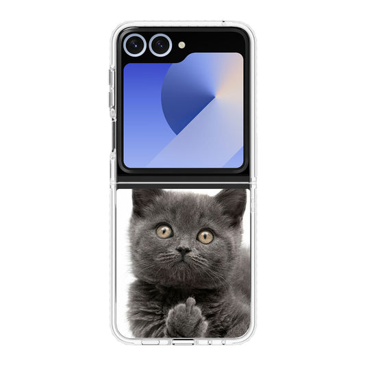 Finger British Shorthair Cat Samsung Galaxy Z Flip 6 Case