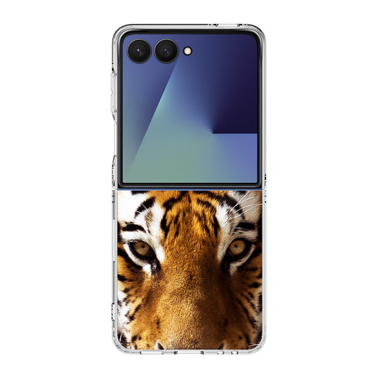 Tiger Eye Samsung Galaxy Z Flip 7 Case