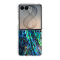 Abalone Samsung Galaxy Z Flip 8 Case