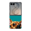Chihuahua Art Samsung Galaxy Z Flip 8 Case