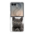 Finger British Shorthair Cat Samsung Galaxy Z Flip 8 Case
