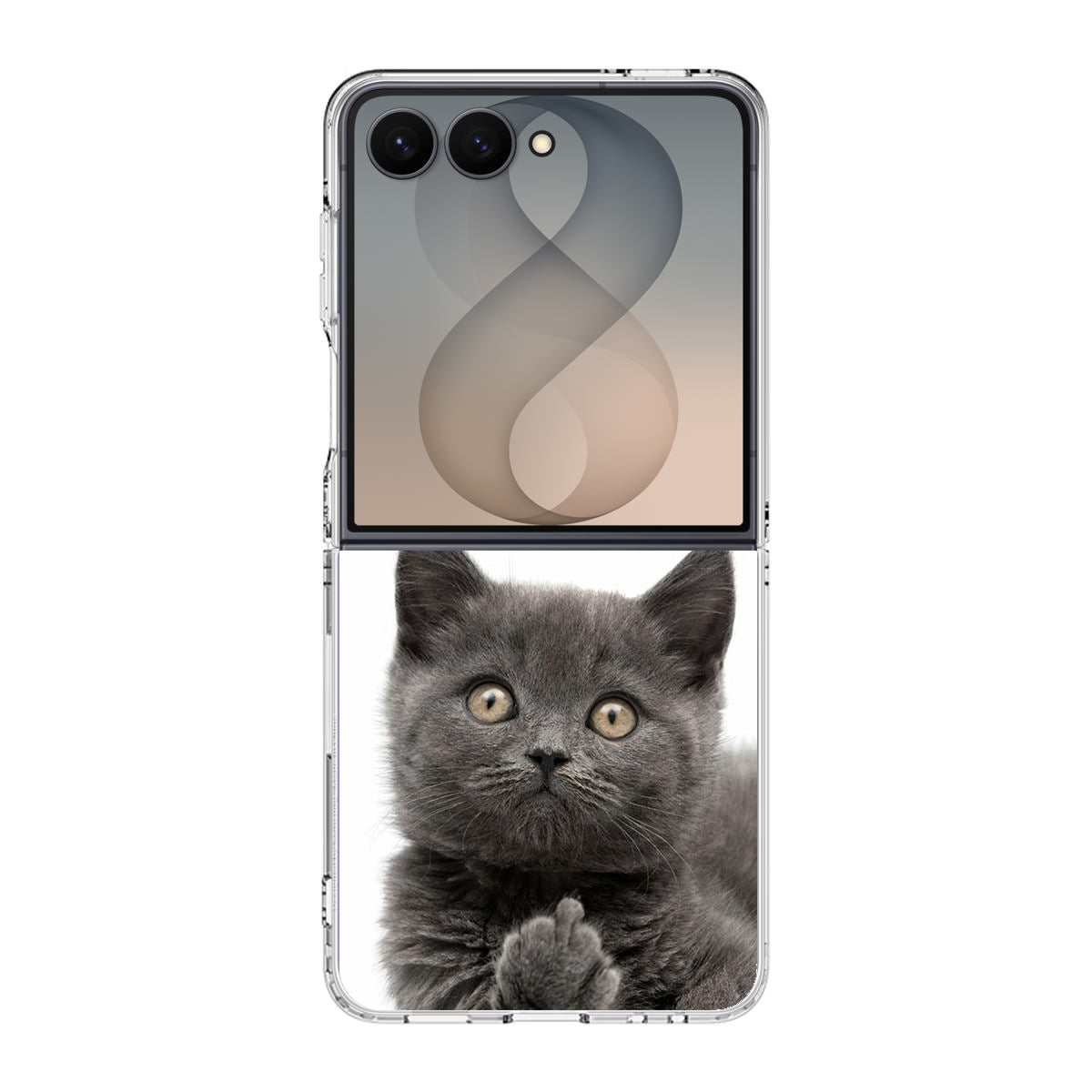 Finger British Shorthair Cat Samsung Galaxy Z Flip 8 Case