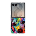 Pitbull Love Painting Samsung Galaxy Z Flip 8 Case