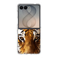 Tiger Eye Samsung Galaxy Z Flip 8 Case