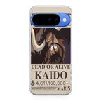 Kaido Bounty Google Pixel 10 Case