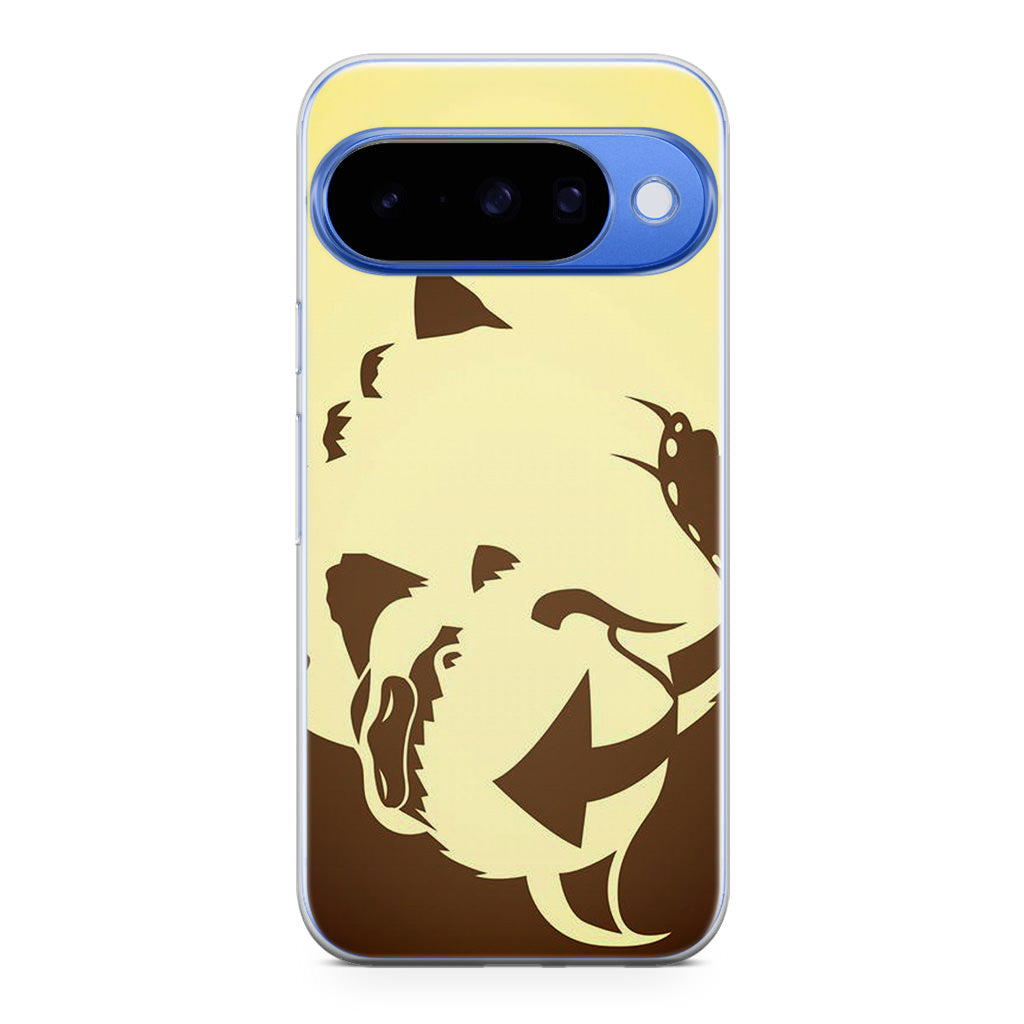 Avatar Appa Bison Google Pixel 10 Case