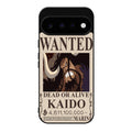 Kaido Bounty Google Pixel 11 Case