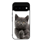 Finger British Shorthair Cat Google Pixel 11 Case