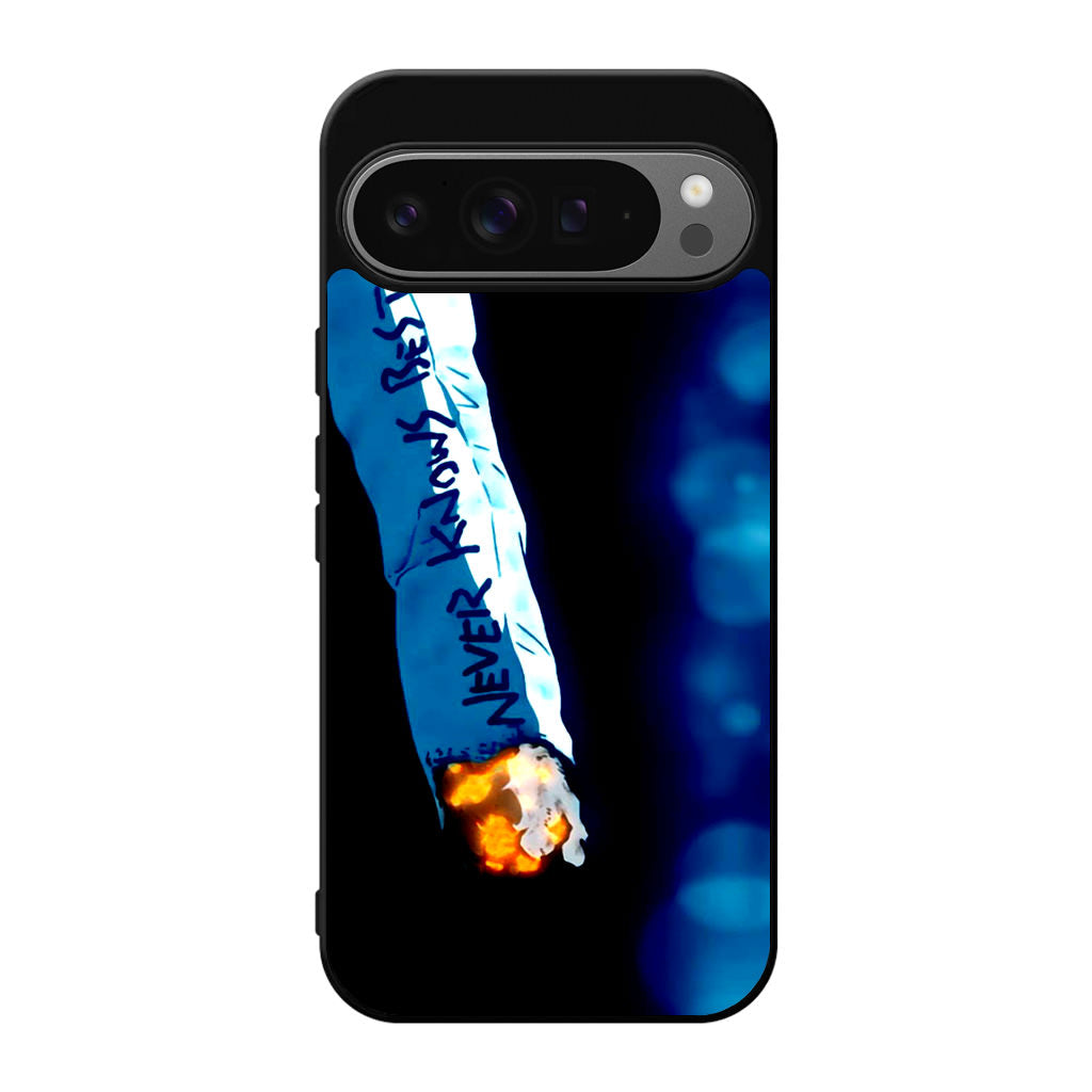 Never Knows Best Google Pixel 9 Pro / Pixel 9 Pro XL Case