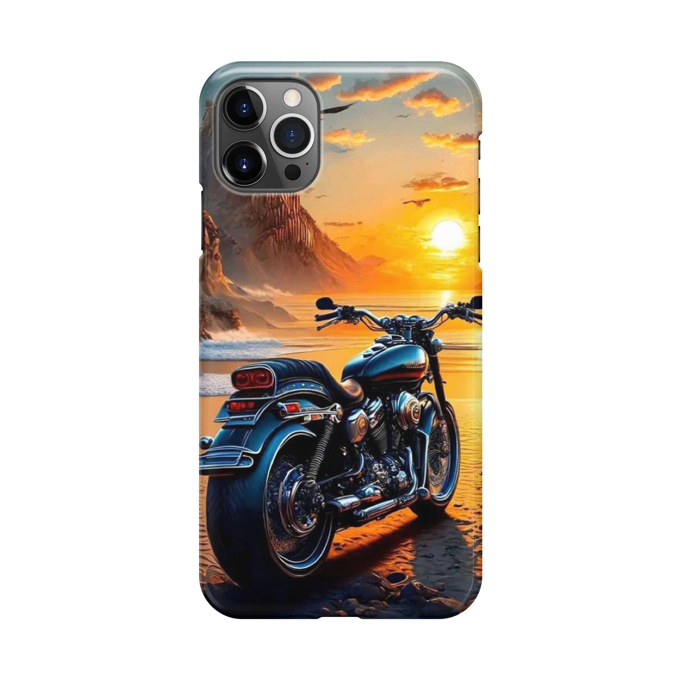 Ride Into the Blaze iPhone 12 Pro Case