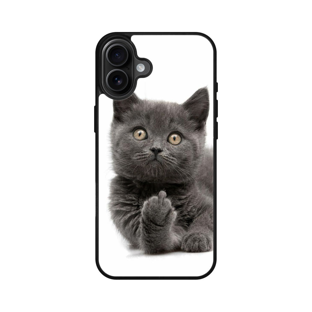 Finger British Shorthair Cat iPhone 16 / 16 Plus Case