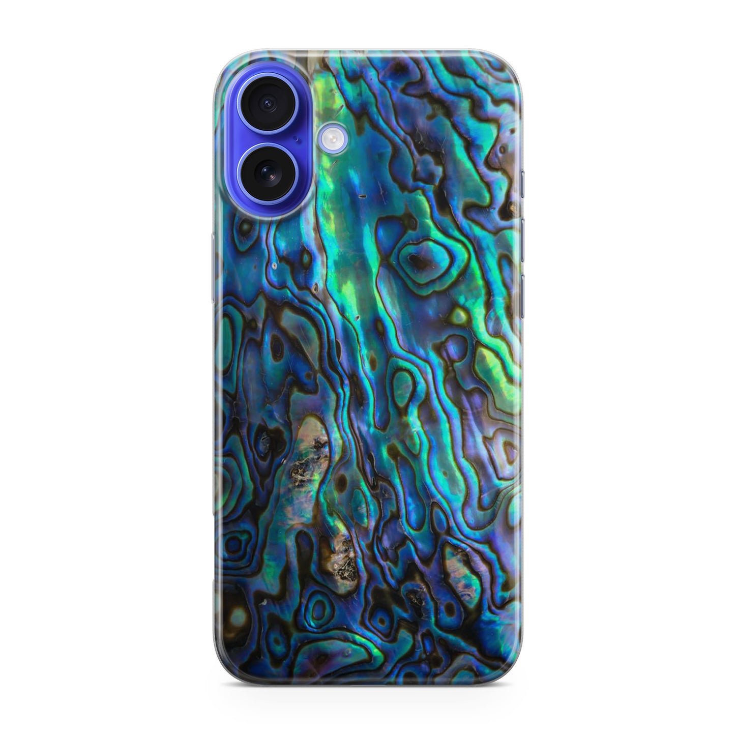 Abalone iPhone 16 / 16 Plus Case