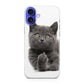 Finger British Shorthair Cat iPhone 16 / 16 Plus Case