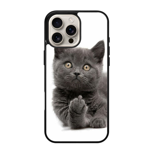 Finger British Shorthair Cat iPhone 16 Pro / 16 Pro Max Case