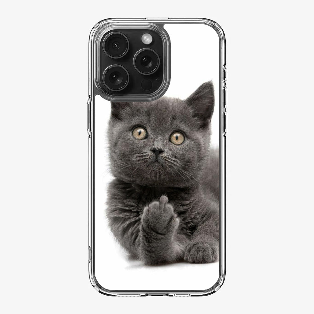 Finger British Shorthair Cat iPhone 16 Pro / 16 Pro Max Case