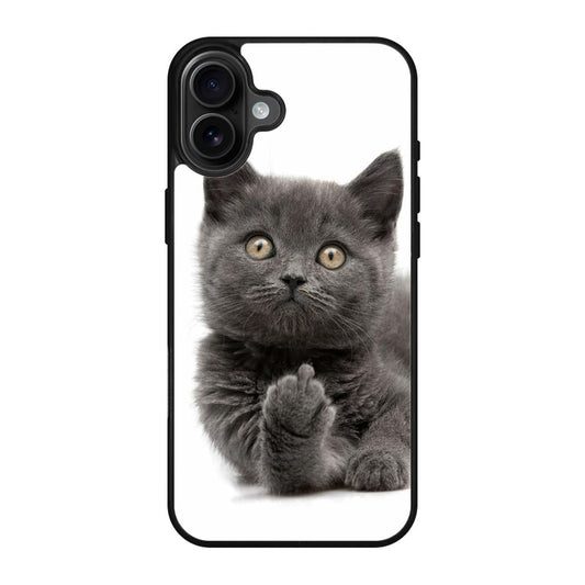 Finger British Shorthair Cat iPhone 17 Case
