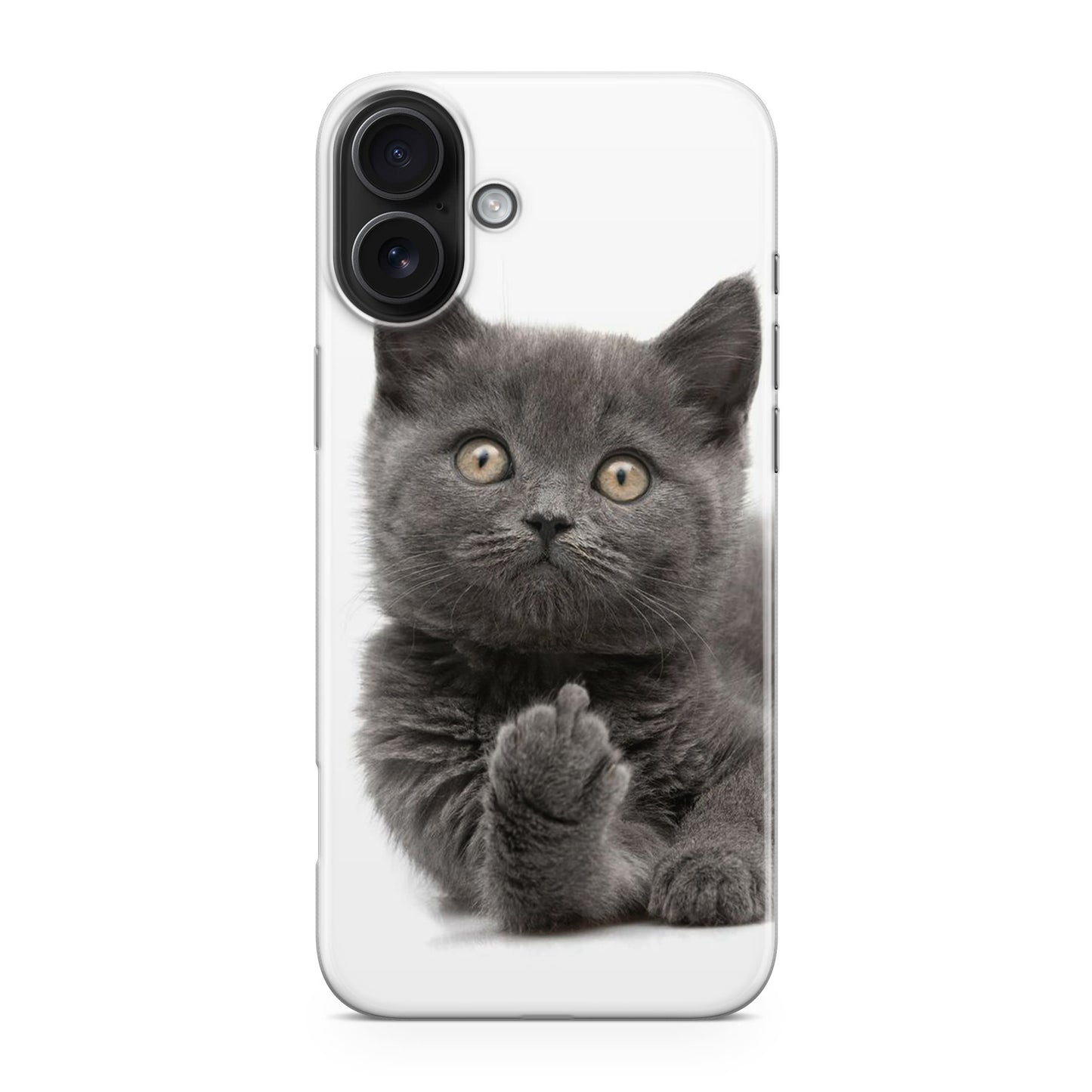 Finger British Shorthair Cat iPhone 17 Case
