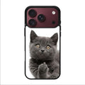 Finger British Shorthair Cat iPhone 18 Pro / 18 Pro Max Case