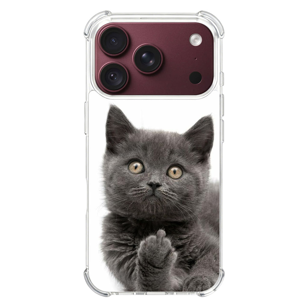 Finger British Shorthair Cat iPhone 18 Pro / 18 Pro Max Case