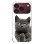 Finger British Shorthair Cat iPhone 18 Pro / 18 Pro Max Case