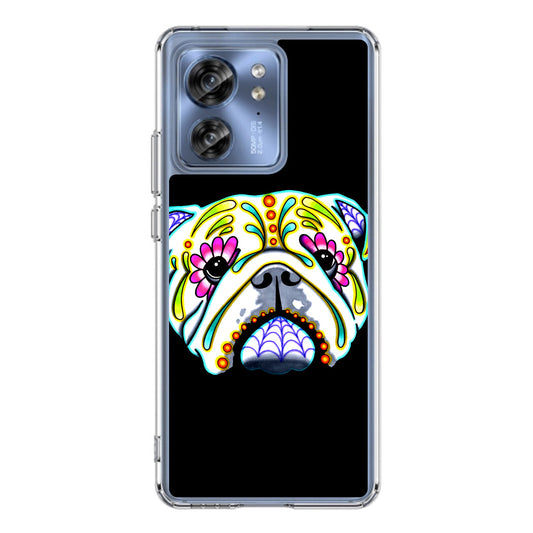 Colorful Bulldog Art Motorola Edge 2023 Case