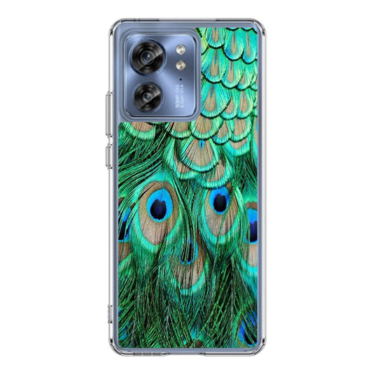 Peacock Feather Motorola Edge 2023 Case