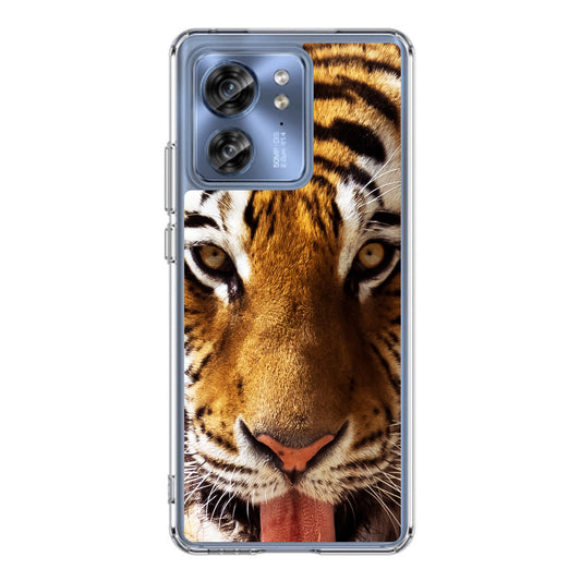 Tiger Eye Motorola Edge 2023 Case