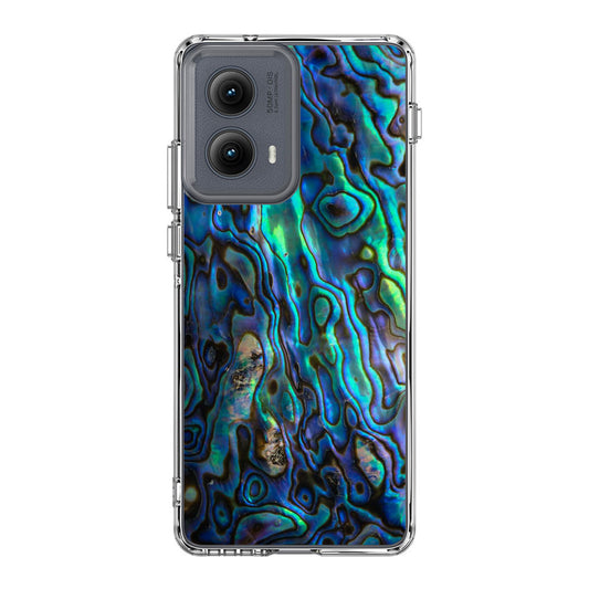 Abalone Motorola Edge 2024 Case