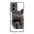 Finger British Shorthair Cat Motorola Edge 2024 Case