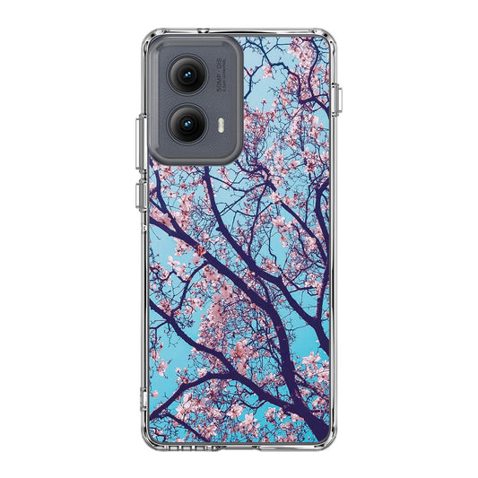 Arizona Gorgeous Spring Blossom Motorola Edge 2024 Case