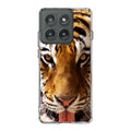 Tiger Eye Motorola Edge 2025 Case