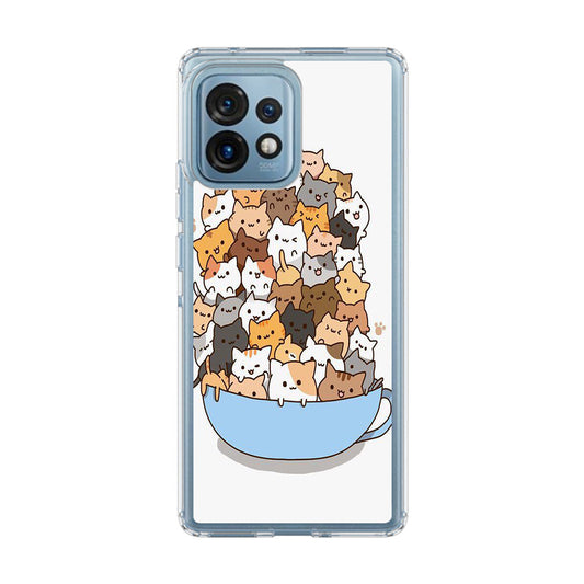 Cats on A Bowl Motorola Edge Plus 2023 Case