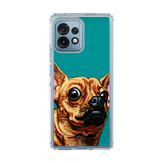 Chihuahua Art Motorola Edge Plus 2023 Case