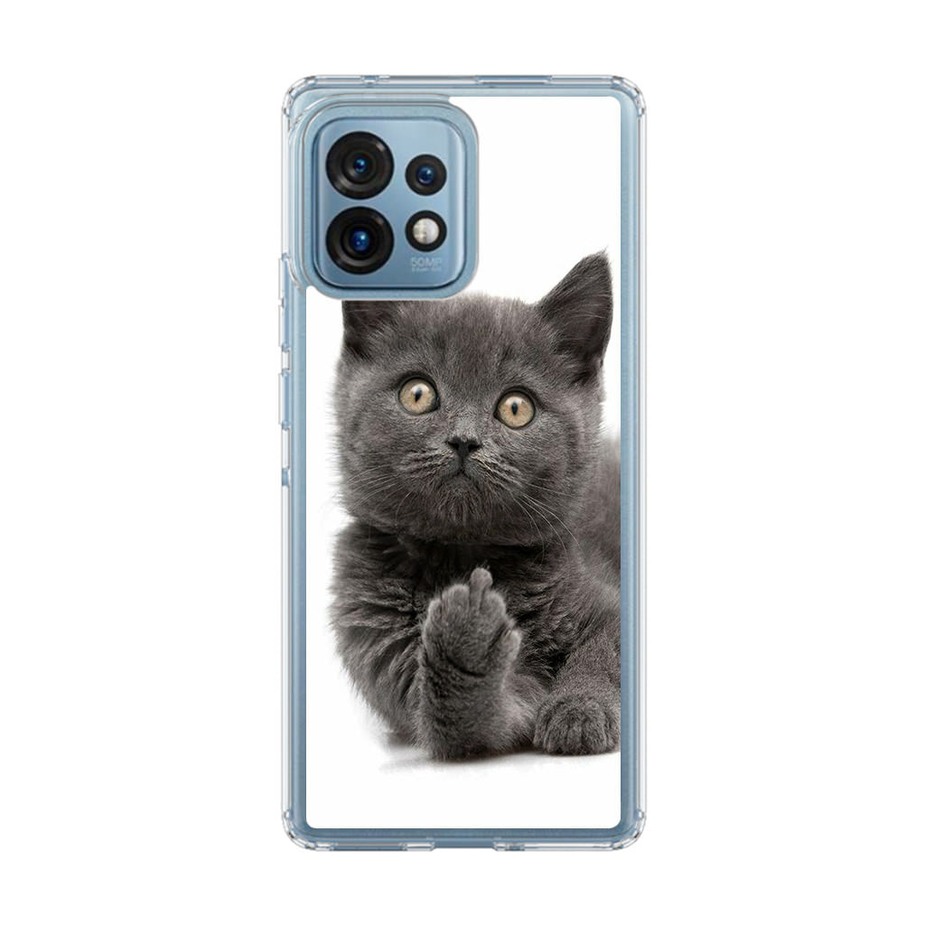 Finger British Shorthair Cat Motorola Edge Plus 2023 Case