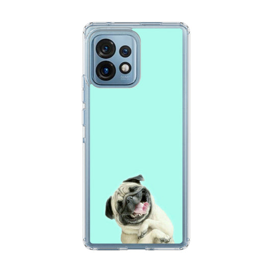 Laughing Pug Motorola Edge Plus 2023 Case