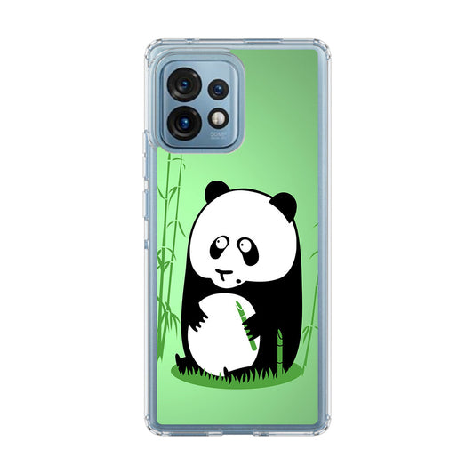 Panda Art Motorola Edge Plus 2023 Case