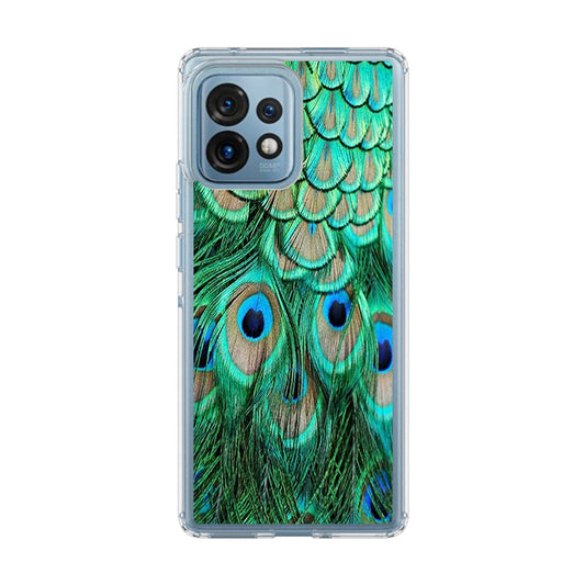 Peacock Feather Motorola Edge Plus 2023 Case