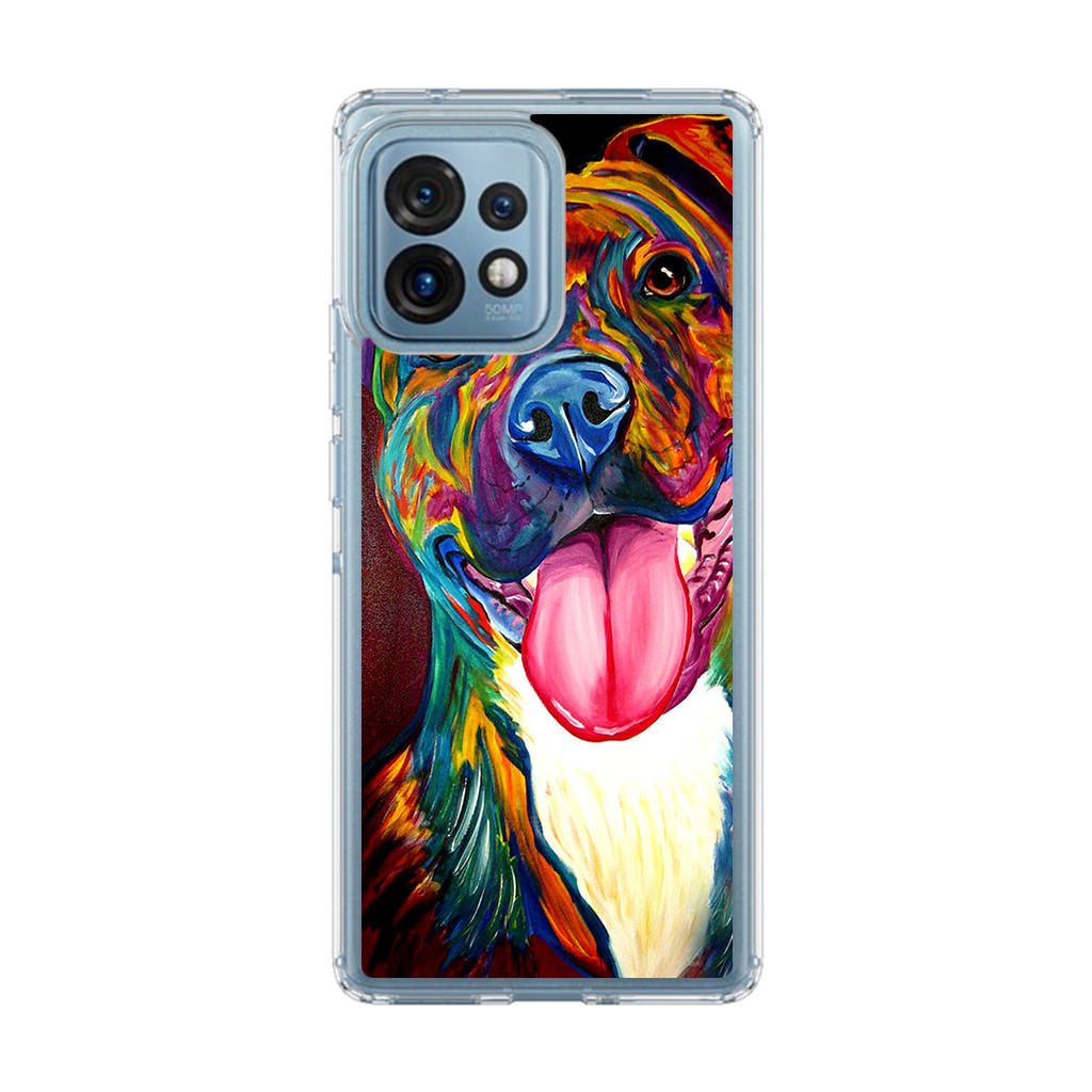 Pitbull Painting Art Motorola Edge Plus 2023 Case