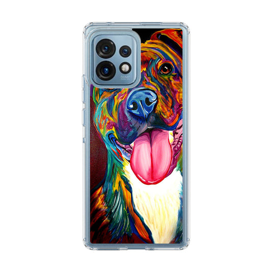 Pitbull Painting Art Motorola Edge Plus 2023 Case