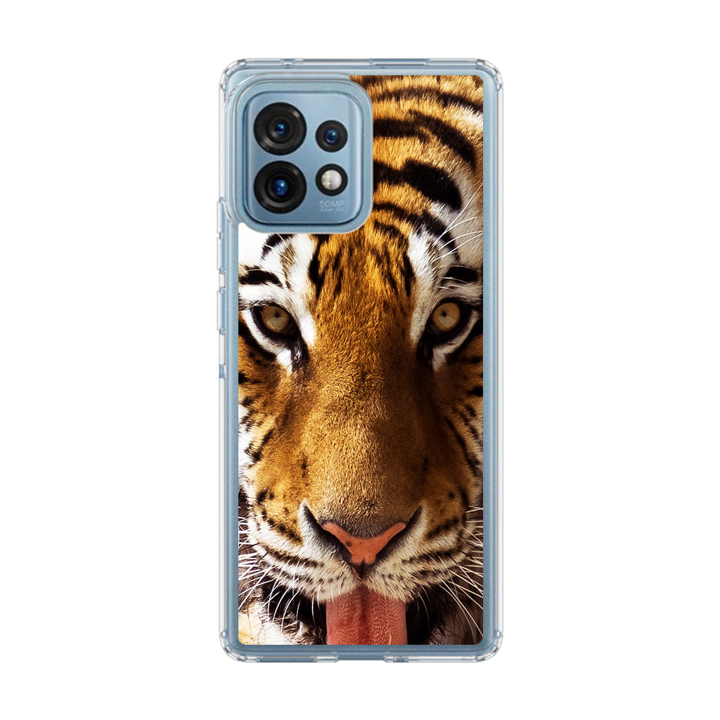 Tiger Eye Motorola Edge Plus 2023 Case