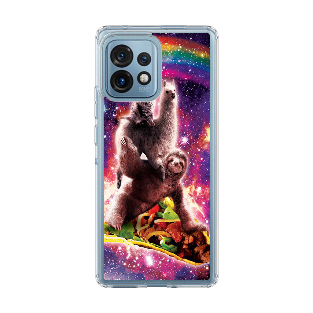 LLama Sloth And Cat Playing Together Motorola Edge Plus 2023 Case