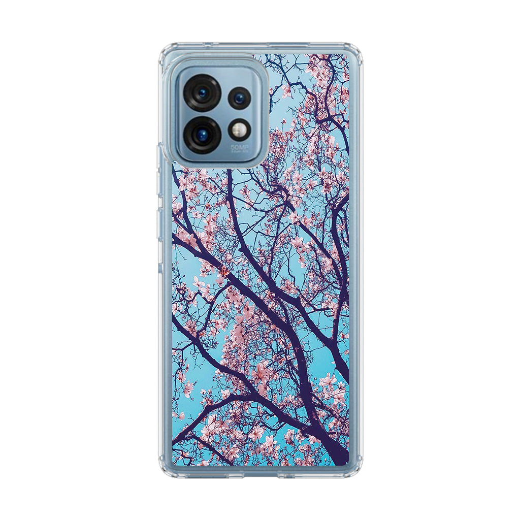 Arizona Gorgeous Spring Blossom Motorola Edge Plus 2023 Case