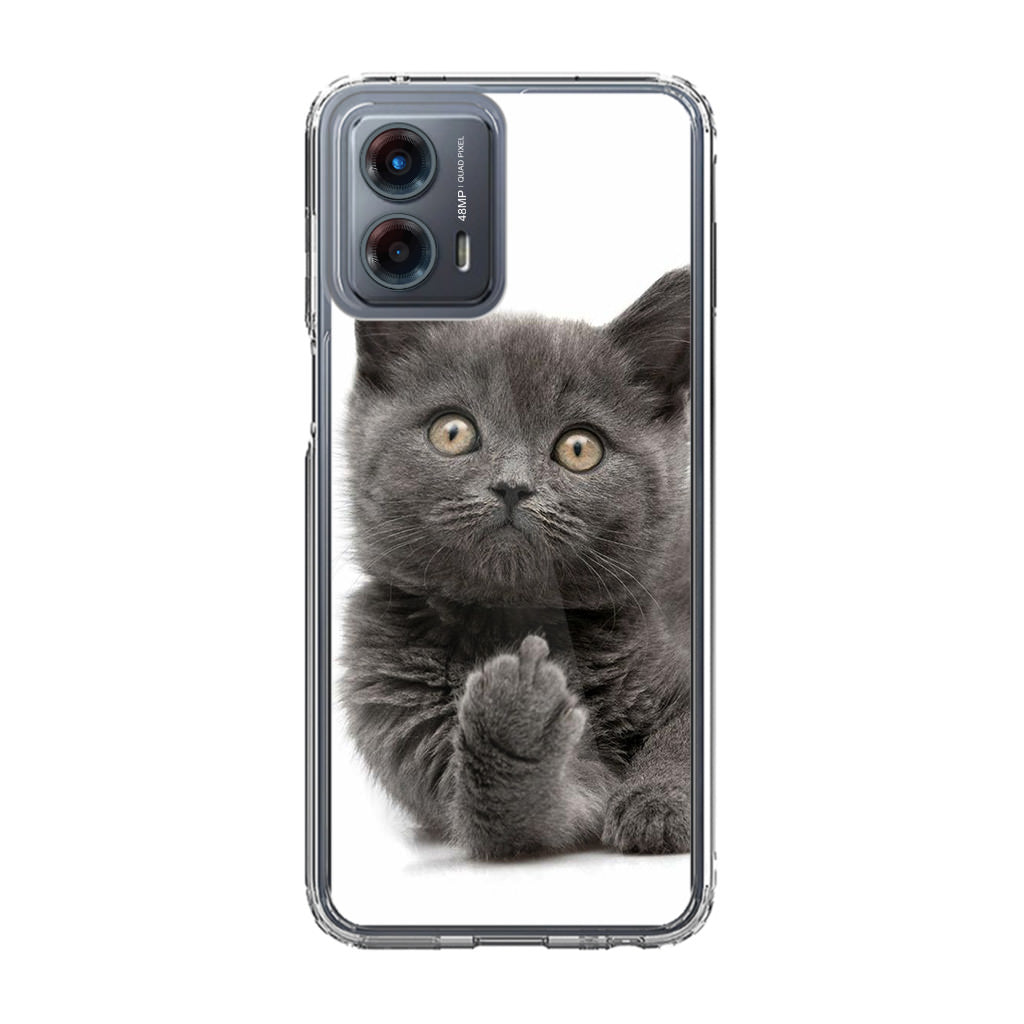 Finger British Shorthair Cat Motorola Moto G 5G 2023 Case