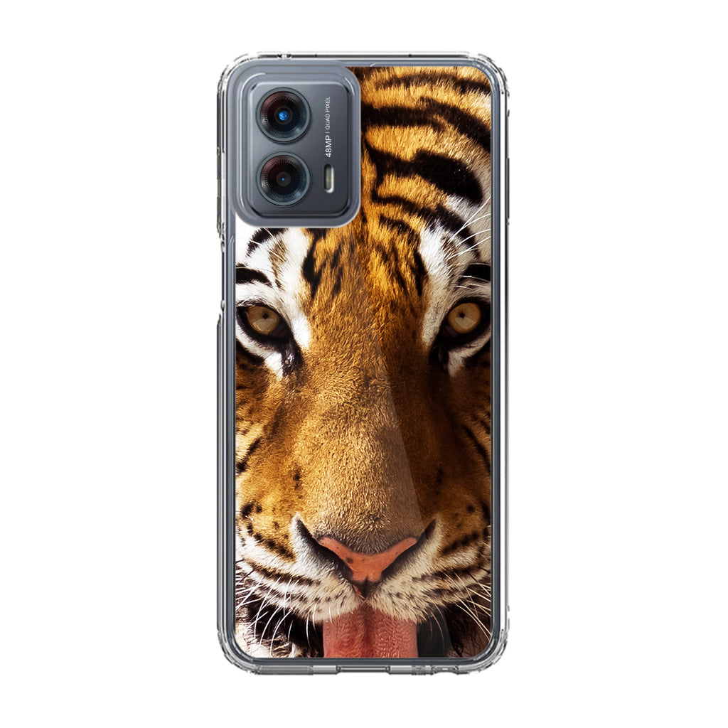 Tiger Eye Motorola Moto G 5G 2023 Case