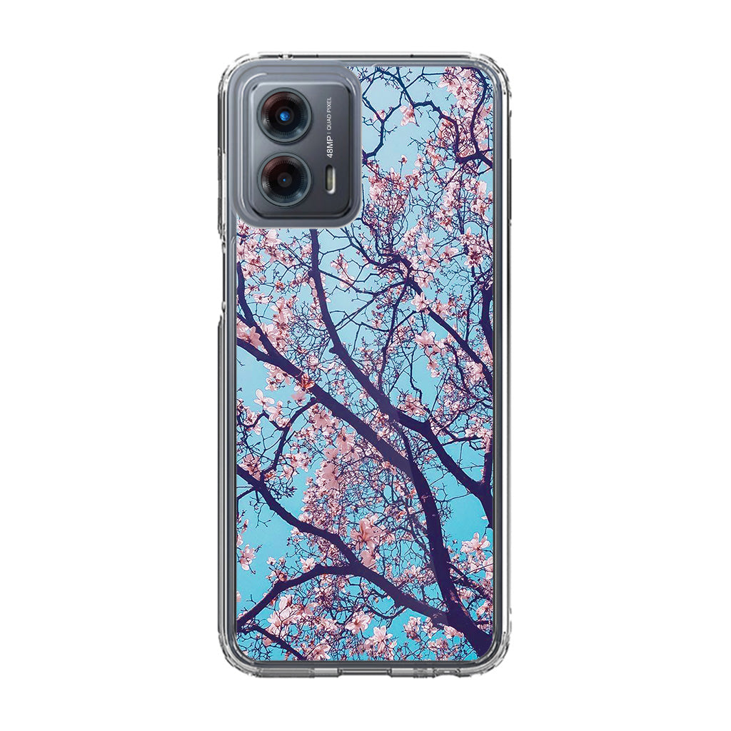 Arizona Gorgeous Spring Blossom Motorola Moto G 5G 2023 Case