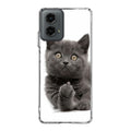 Finger British Shorthair Cat Motorola Moto G 5G 2024 Case