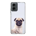 The Selfie Pug Motorola Moto G 5G 2024 Case